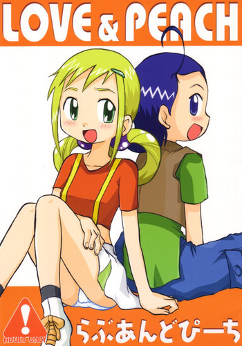 らぶあんどぴーちの表紙画像