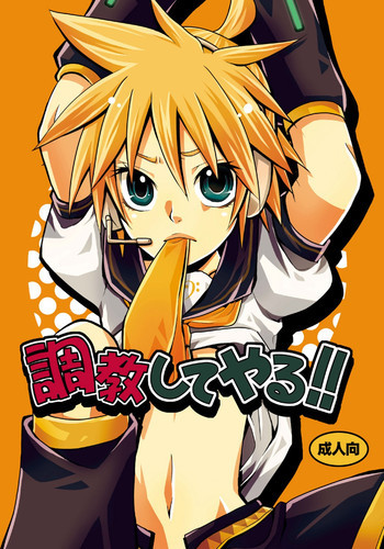 調教してやるの表紙画像