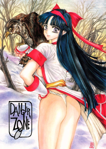 DANGER ZONE 6.0の表紙画像