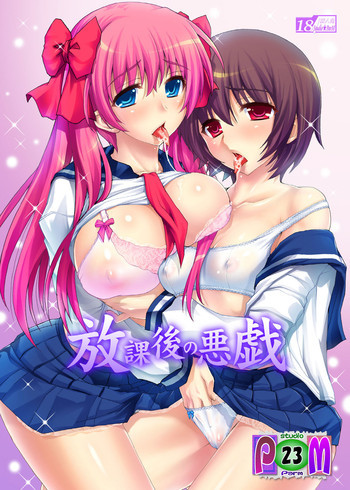 放課後の悪戯の表紙画像