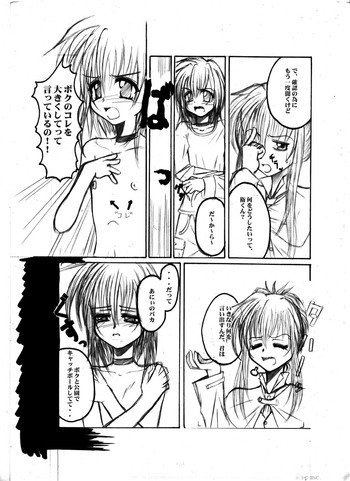 Elflite - kyaliteの表紙画像