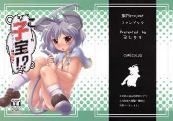 こ、子宝!？～ナズーリンは俺の嫁～の表紙画像