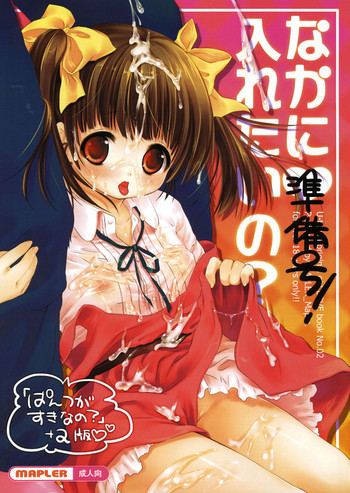 なかに入れたいの？準備号！+とら祭りペーパーの表紙画像