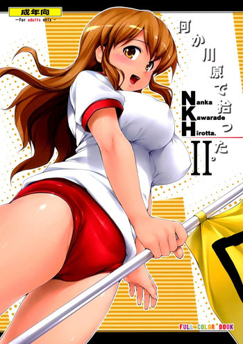 NKH II 何か河原で拾った2の表紙画像