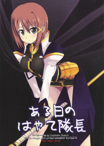 ある日のはやて隊長の表紙画像