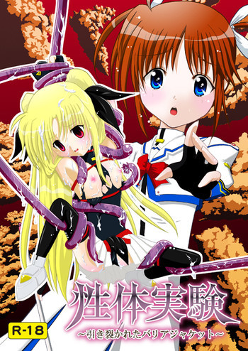 性体実験～引き裂かれたバリアジャケット～の表紙画像