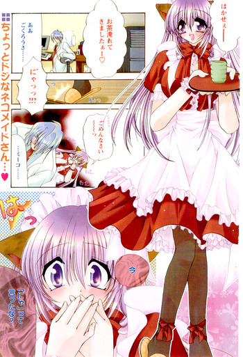 たとえ六畳一間でもの表紙画像