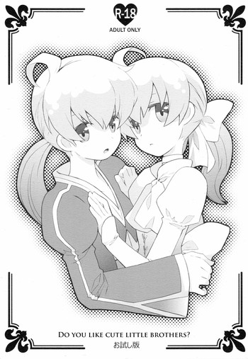 かわいい弟さんは好きですか？お試し版の表紙画像