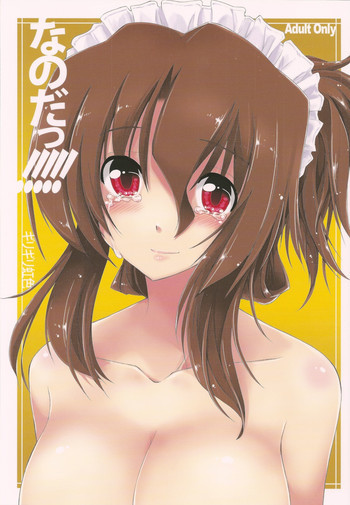 なのだっ!!!!! + おまけ本の表紙画像