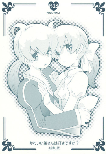 かわいい弟さんは好きですか？お試し版の表紙画像