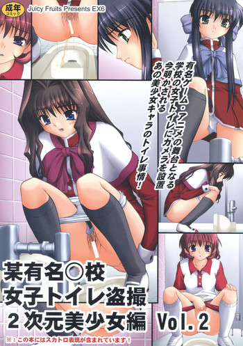 某有名○校女子トイレ盗撮 2次元美少女編 Vol.2の表紙画像