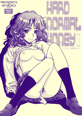 HARD NORMAL HONEYの表紙画像