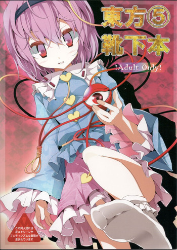 東方靴下本5の表紙画像