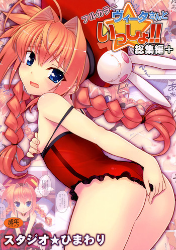 ヴィータさんと一緒 総集編プラスの表紙画像