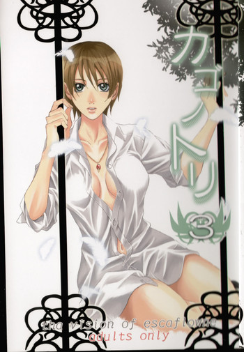 カゴノトリ3の表紙画像