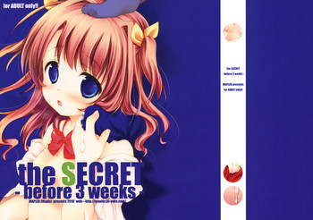the SECRET -before 3 weeks- コピー誌の表紙画像