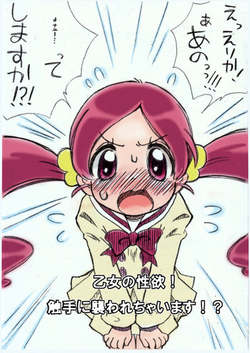 乙女の性欲!触手に襲われちゃいます!？の表紙画像