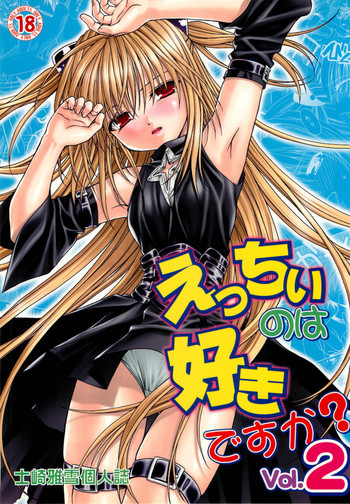 えっちぃのは好きですか？ 2の表紙画像