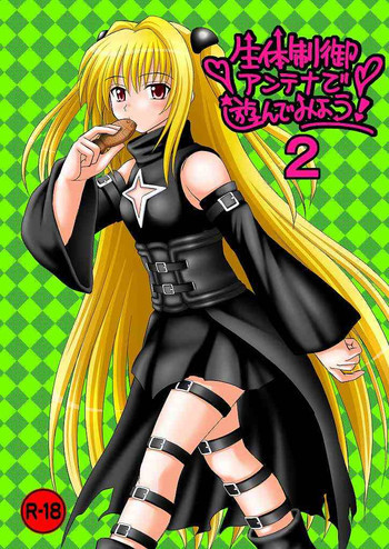 生体制御アンテナで遊んでみよう 2の表紙画像