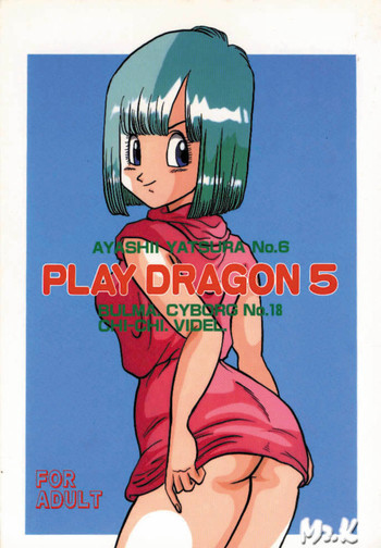 Play Dragon 5の表紙画像
