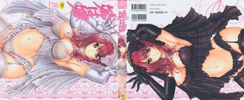 姉は嫁の表紙画像