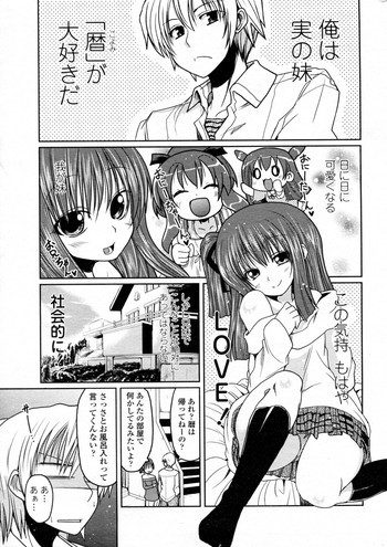 Koyomi MAX!の表紙画像