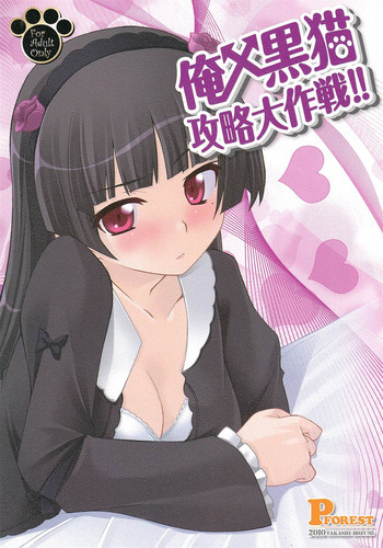 俺x黒猫攻略大作戦!!の表紙画像