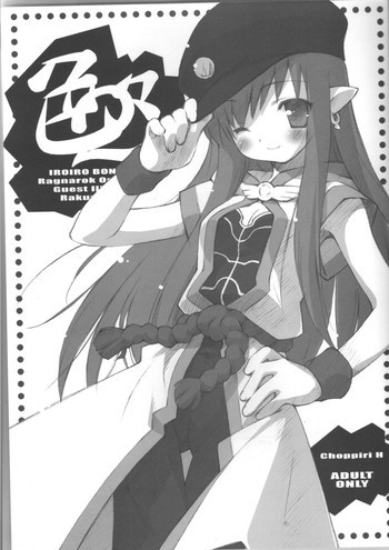 色々２の表紙画像