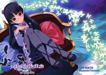 schwarzkatzeの表紙画像