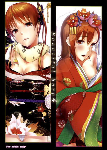 Beautiful harp 4の表紙画像