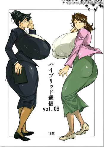 ハイブリッド通信vol.06の表紙画像