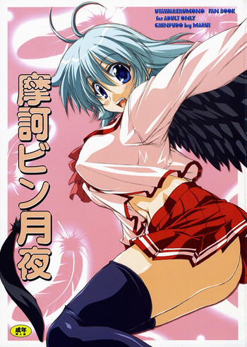 摩訶ビン月夜の表紙画像