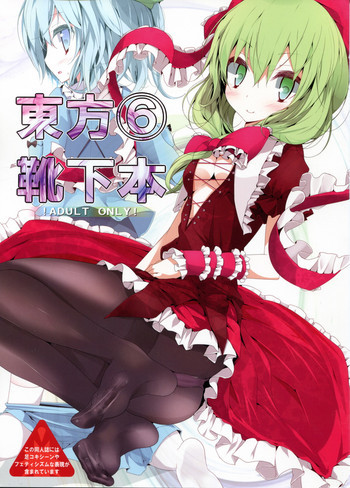 東方靴下本6の表紙画像