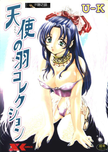 天使の羽コレクションの表紙画像