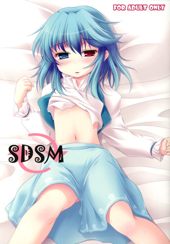SDSMの表紙画像