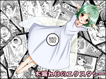 木漏れ日のエクスタシーの表紙画像