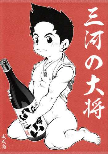 三河の大将の表紙画像