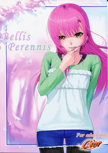 Bellis Perennisの表紙画像