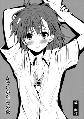 さそいかた その後の表紙画像