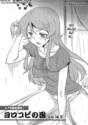 ヨロコビの国 Vol.14.5の表紙画像