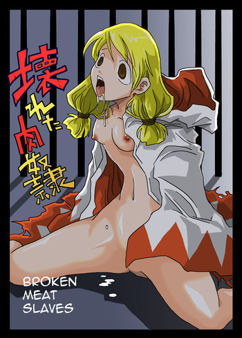 壊れた肉奴隷の表紙画像