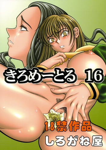 きろめーとる 16の表紙画像