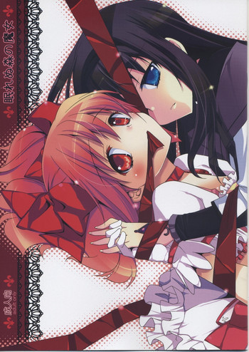 眠れぬ森の魔女の表紙画像