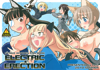 ELECTRIC★ERECTIONの表紙画像