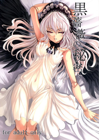 黒薔薇の秘密の表紙画像