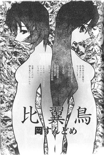 比翼鳥の表紙画像