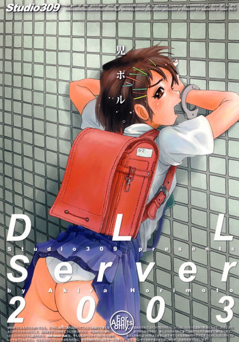 DLL Server 2003の表紙画像