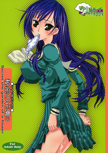 Himitsu no Hanazono 3の表紙画像