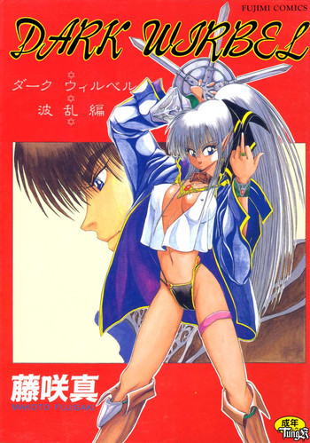 DARK WIRBEL 波乱編の表紙画像