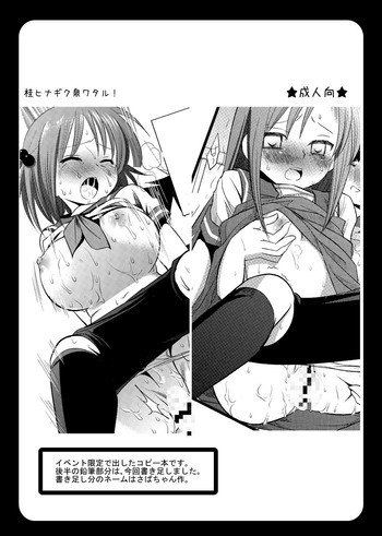 桂ヒナギク泉ワタル！の表紙画像
